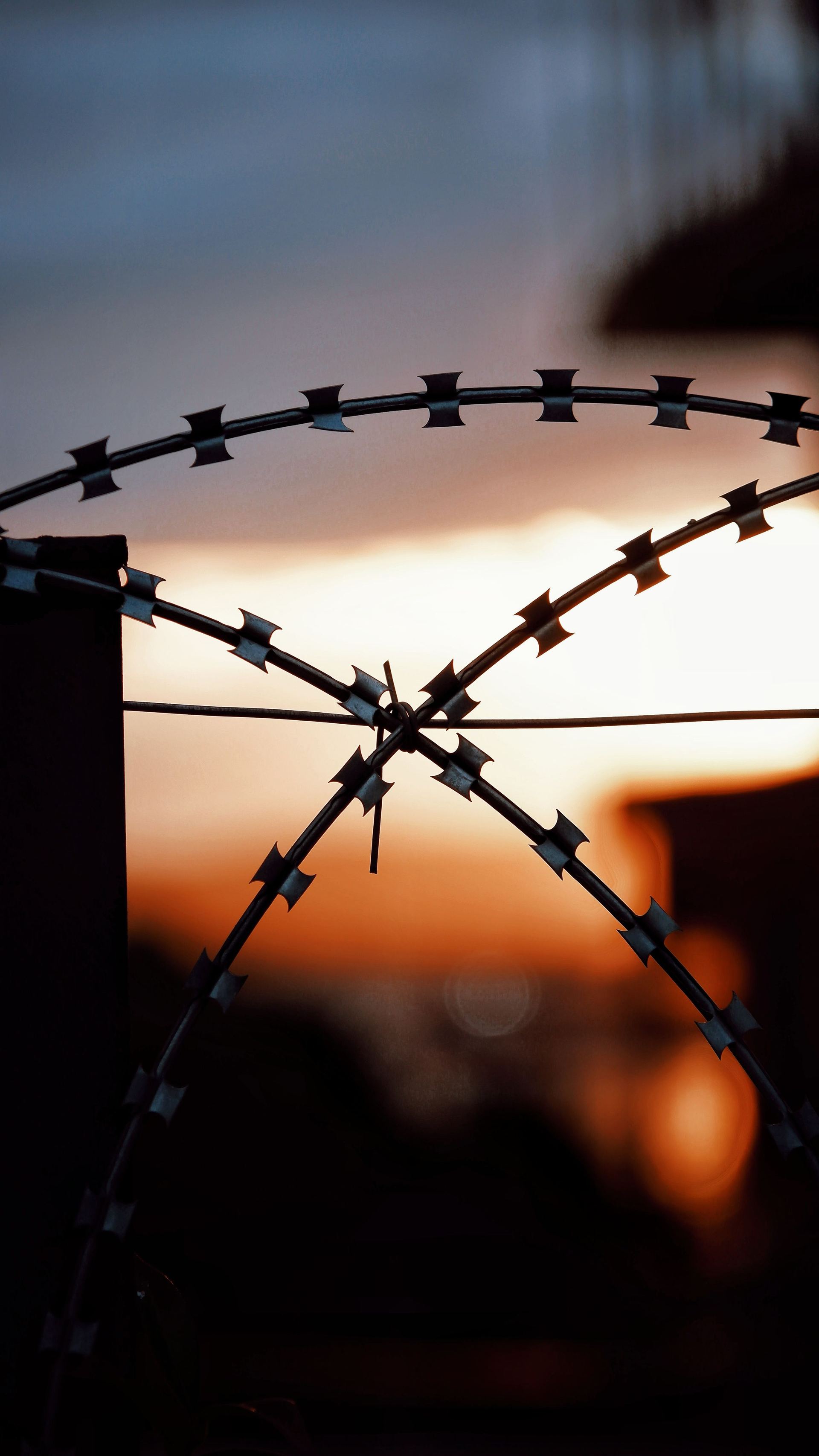 Razor wire along a secured perimeter at dusk.